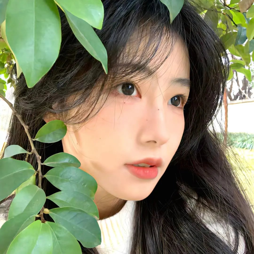 他们！